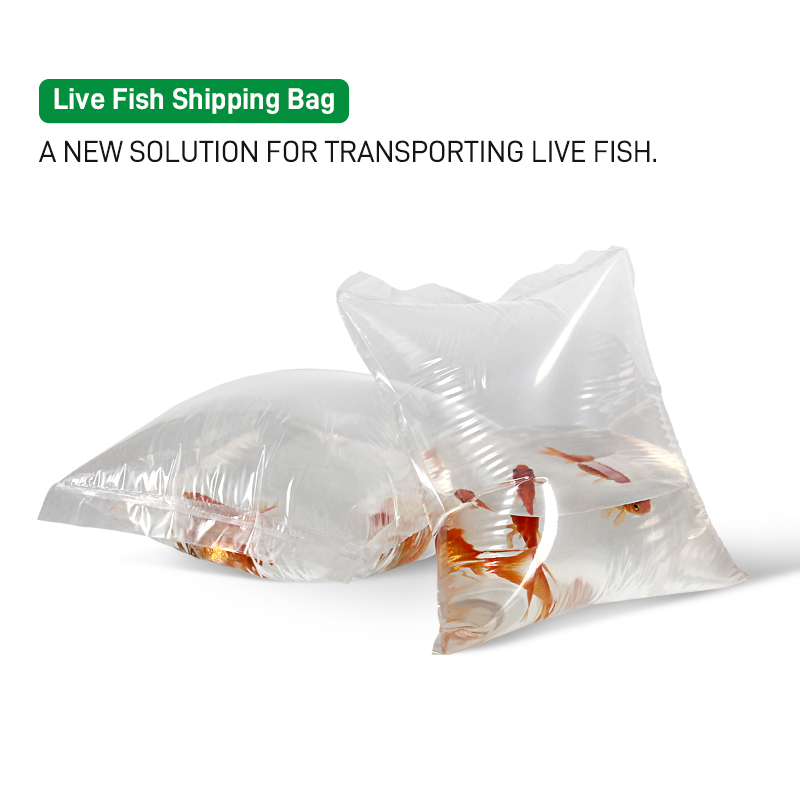 Oxgenated Ornamental Pet Fish Transport Bag