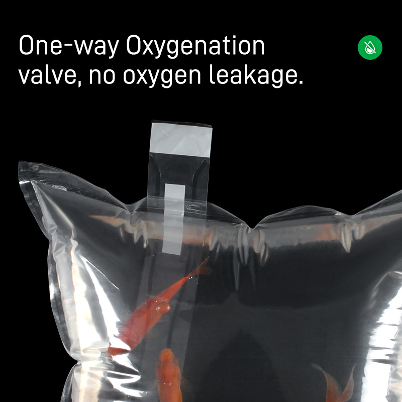 Oxgenated Ornamental Pet Fish Transport Bag