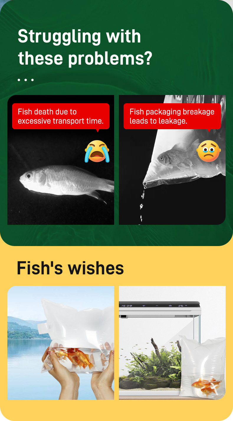 Live fish transport bag 