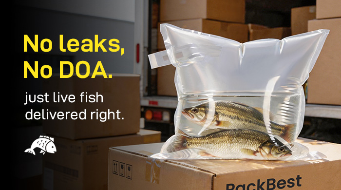 Oxgenated fish bags